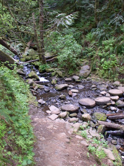 5.5.06 Eagle Creek 021 